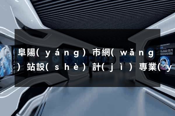 阜陽(yáng)市網(wǎng)站設(shè)計(jì)專業(yè)的公司