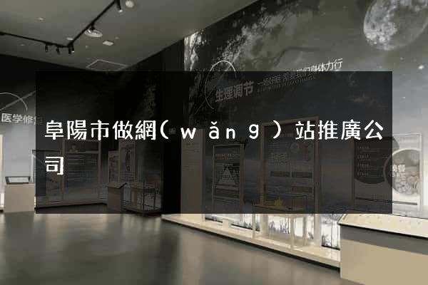阜陽市做網(wǎng)站推廣公司