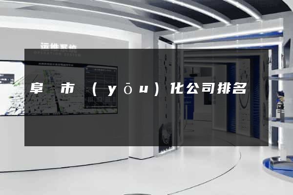 阜陽市優(yōu)化公司排名