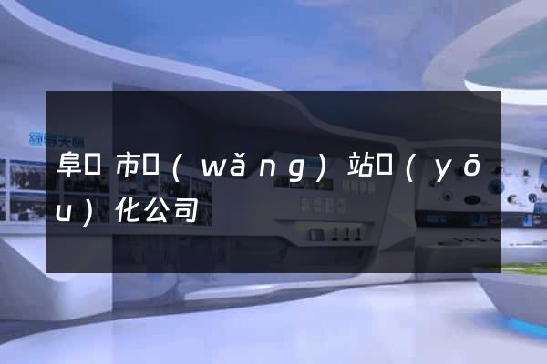 阜陽市網(wǎng)站優(yōu)化公司