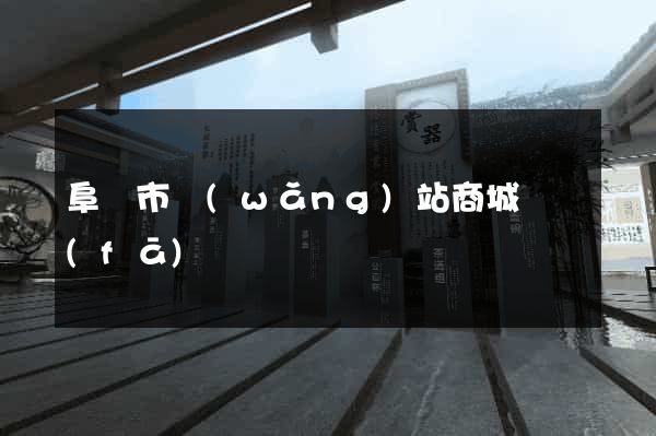阜陽市網(wǎng)站商城開發(fā)