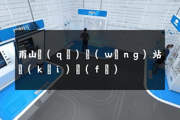 雨山區(qū)網(wǎng)站開(kāi)發(fā)