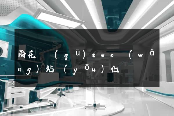 雨花臺區(qū)seo網(wǎng)站優(yōu)化