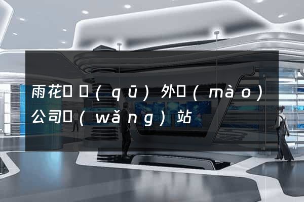 雨花臺區(qū)外貿(mào)公司網(wǎng)站