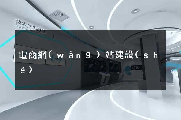 電商網(wǎng)站建設(shè)