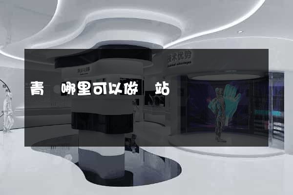 青島哪里可以做網站