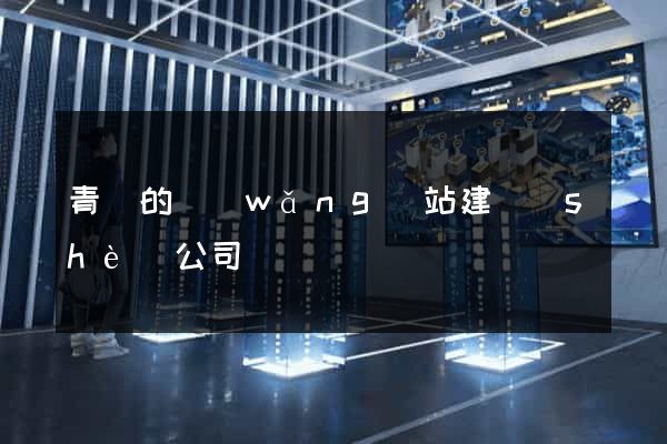青島的網(wǎng)站建設(shè)公司