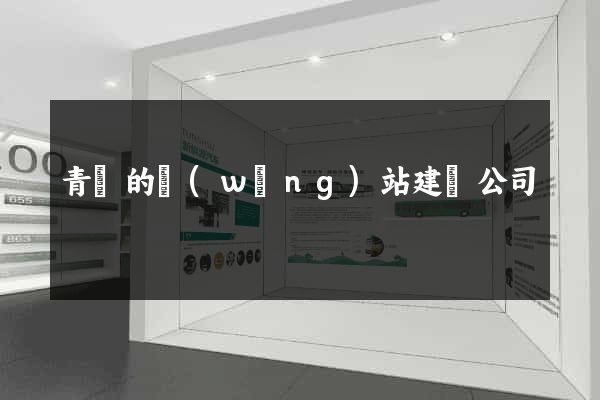 青島的網(wǎng)站建設公司
