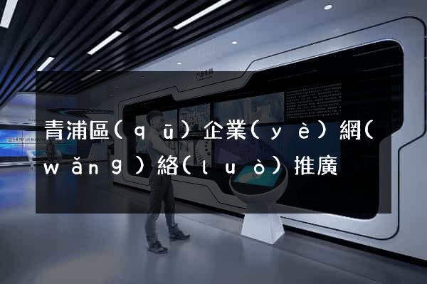 青浦區(qū)企業(yè)網(wǎng)絡(luò)推廣