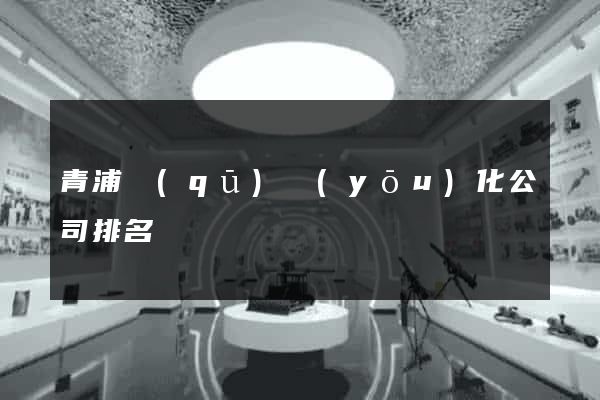 青浦區(qū)優(yōu)化公司排名