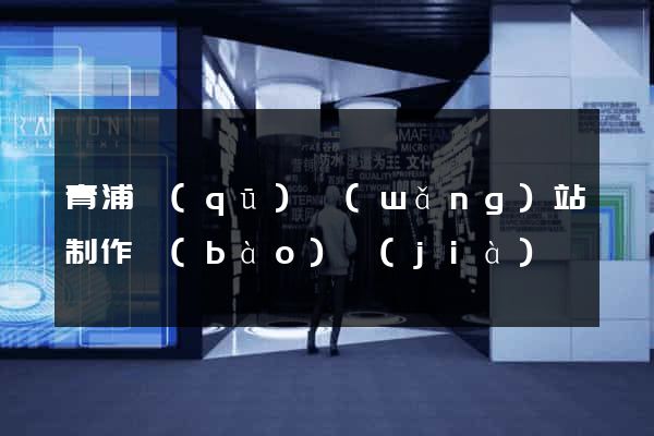 青浦區(qū)網(wǎng)站制作報(bào)價(jià)
