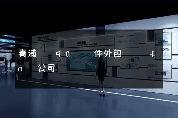 青浦區(qū)軟件外包開發(fā)公司