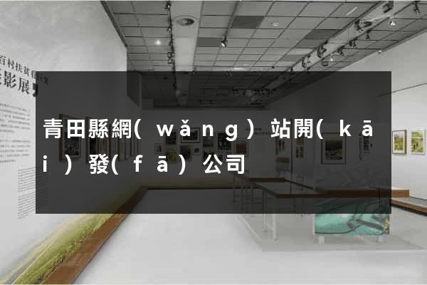 青田縣網(wǎng)站開(kāi)發(fā)公司