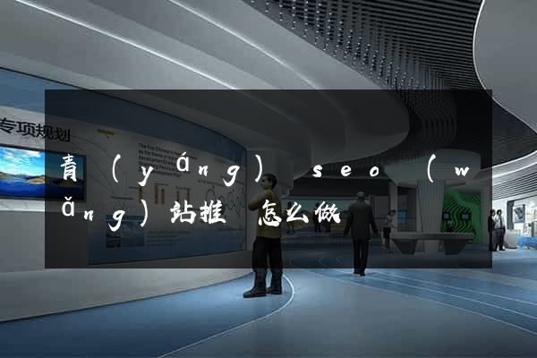 青陽(yáng)縣seo網(wǎng)站推廣怎么做