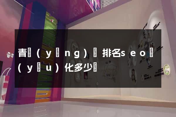 青陽(yáng)縣排名seo優(yōu)化多少錢