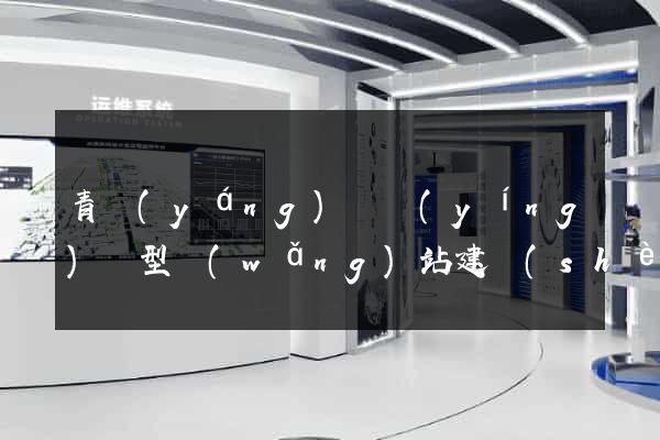 青陽(yáng)縣營(yíng)銷型網(wǎng)站建設(shè)