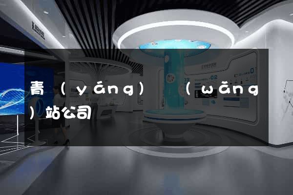 青陽(yáng)縣網(wǎng)站公司