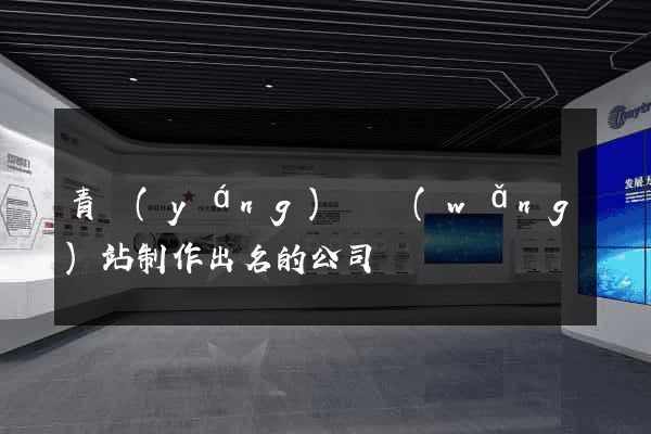 青陽(yáng)縣網(wǎng)站制作出名的公司