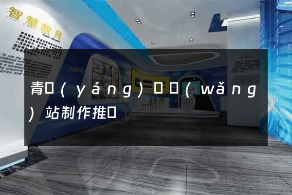 青陽(yáng)縣網(wǎng)站制作推廣