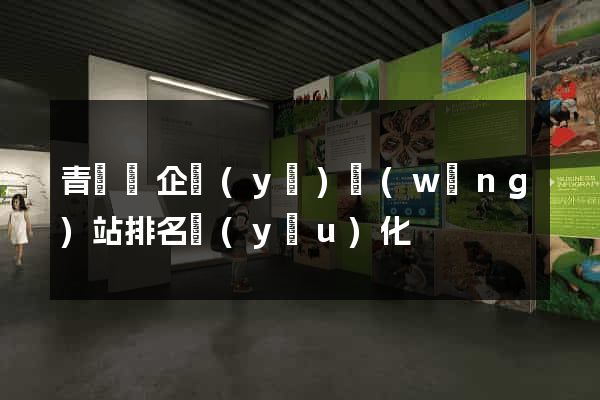 青陽縣企業(yè)網(wǎng)站排名優(yōu)化