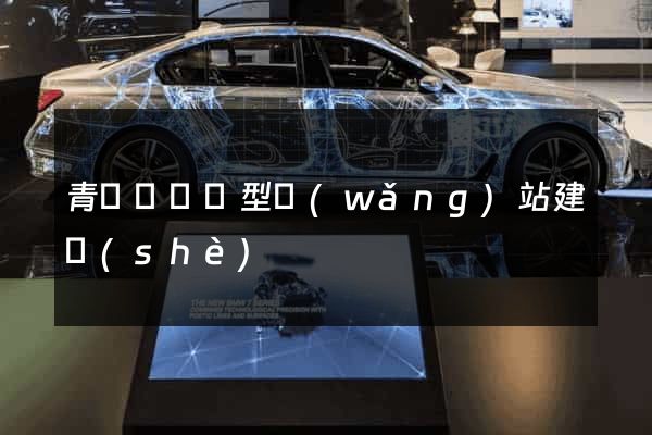 青陽縣營銷型網(wǎng)站建設(shè)