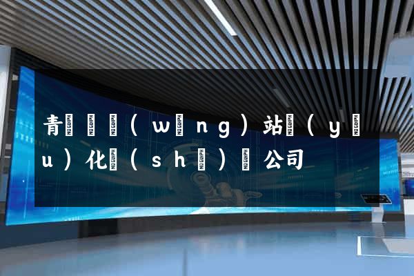 青陽縣網(wǎng)站優(yōu)化設(shè)計公司