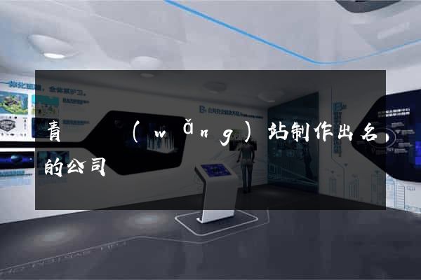 青陽縣網(wǎng)站制作出名的公司