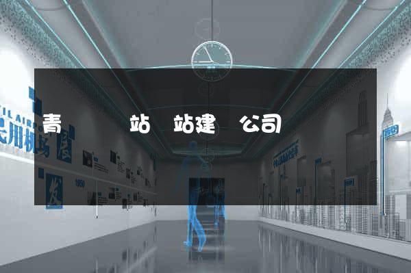 青陽縣網站網站建設公司