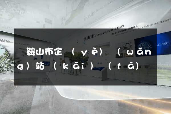 馬鞍山市企業(yè)網(wǎng)站開(kāi)發(fā)
