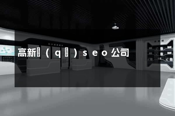 高新區(qū)seo公司