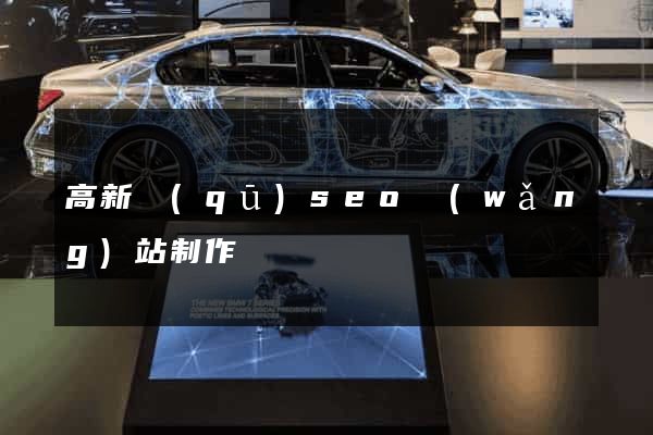 高新區(qū)seo網(wǎng)站制作
