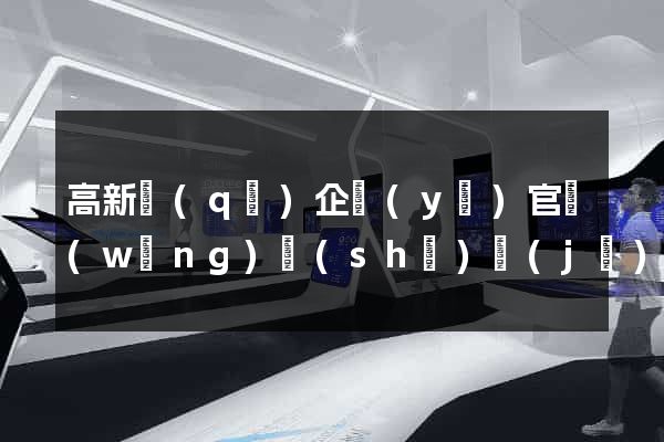高新區(qū)企業(yè)官網(wǎng)設(shè)計(jì)