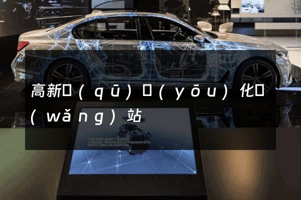 高新區(qū)優(yōu)化網(wǎng)站
