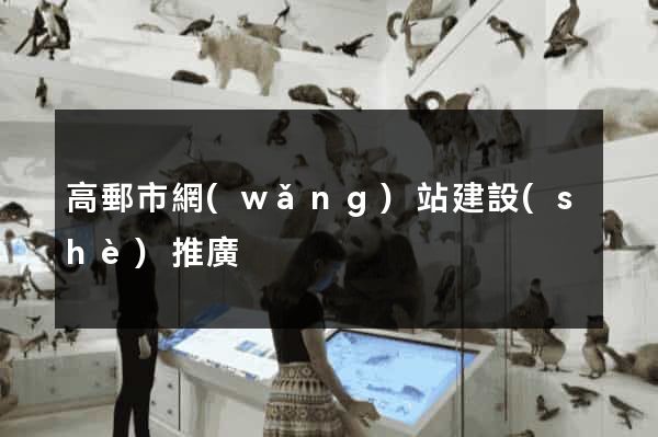 高郵市網(wǎng)站建設(shè)推廣