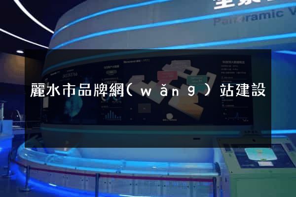 麗水市品牌網(wǎng)站建設