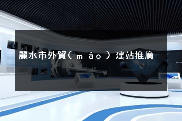 麗水市外貿(mào)建站推廣