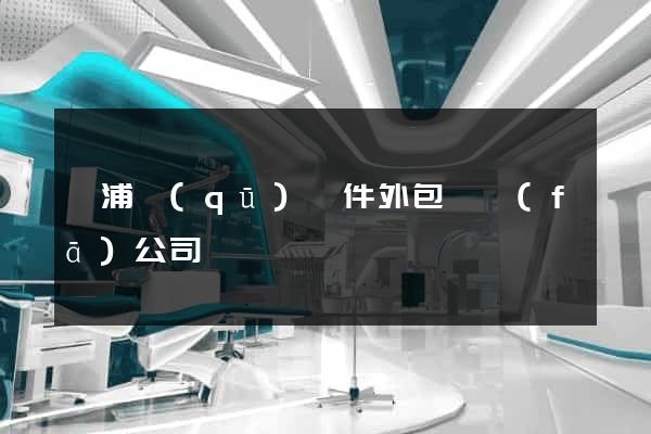 黃浦區(qū)軟件外包開發(fā)公司