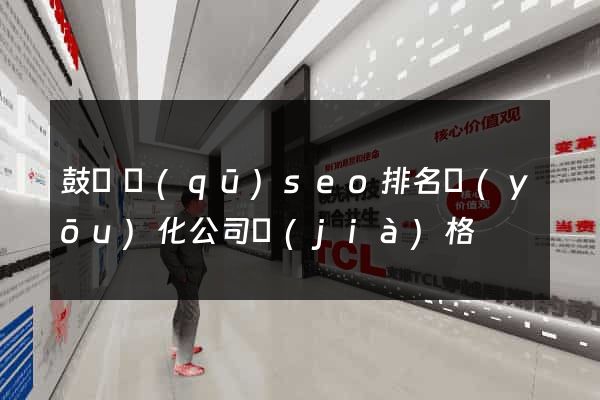 鼓樓區(qū)seo排名優(yōu)化公司價(jià)格
