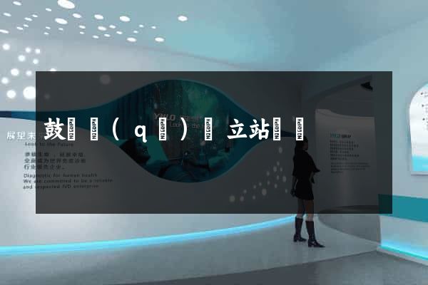 鼓樓區(qū)獨立站運營