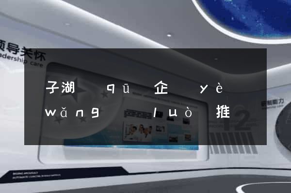 龍子湖區(qū)企業(yè)網(wǎng)絡(luò)推廣
