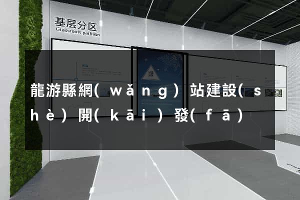 龍游縣網(wǎng)站建設(shè)開(kāi)發(fā)
