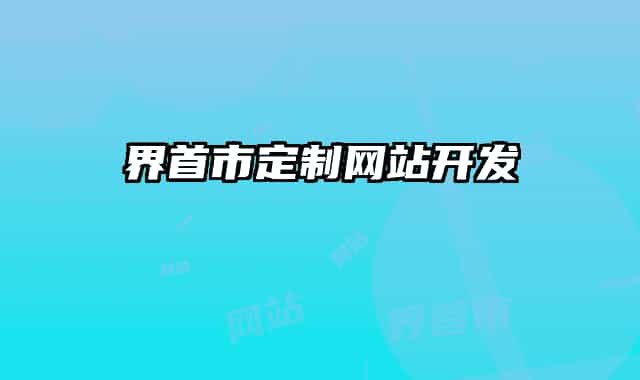 界首市定制網站開發(fā)