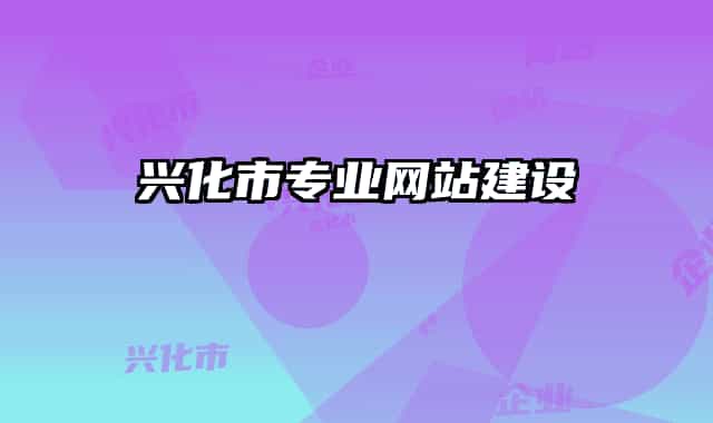 興化市專業(yè)網站建設