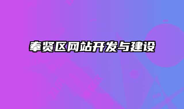 奉賢區(qū)網(wǎng)站開(kāi)發(fā)與建設(shè)