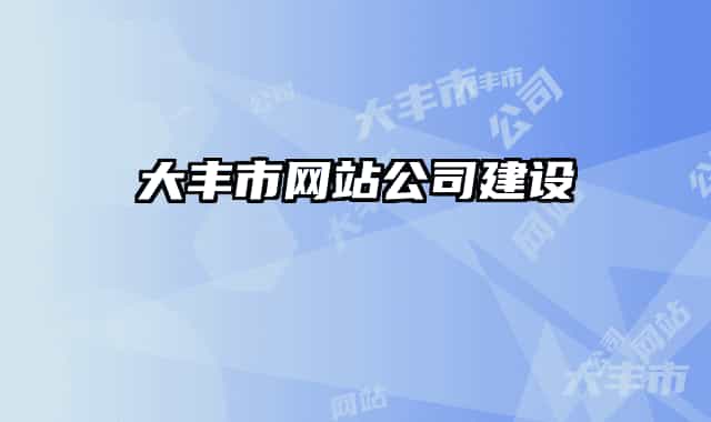 大豐市網(wǎng)站公司建設