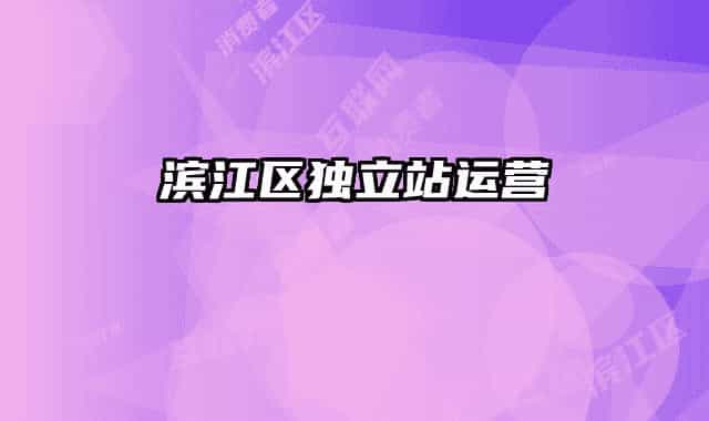 濱江區(qū)獨立站運(yùn)營