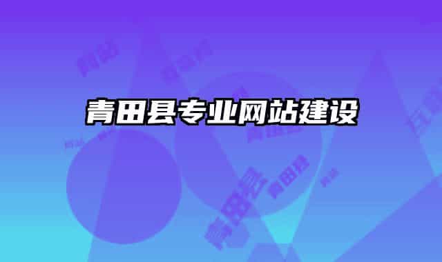 青田縣專業(yè)網(wǎng)站建設(shè)
