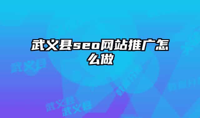 武義縣seo網站推廣怎么做