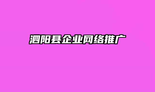 泗陽(yáng)縣企業(yè)網(wǎng)絡(luò)推廣