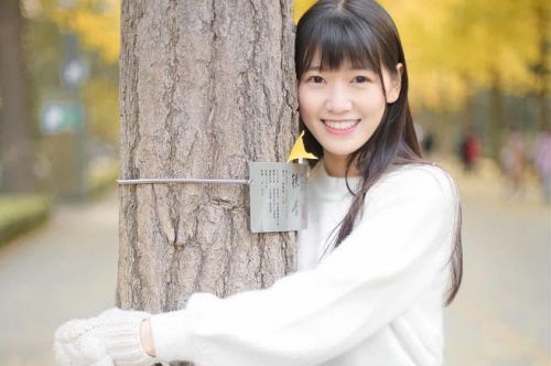 蜀山區(qū)網(wǎng)站建設(shè)開(kāi)發(fā)公司